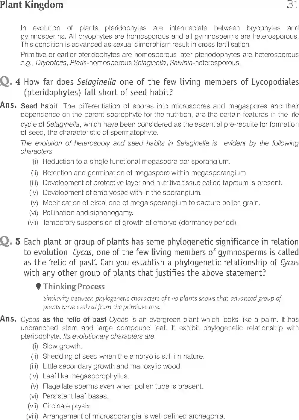 NCERT-Solution-Class-11-Biology-Exemplar-Plant-Kingdom-748-page-7