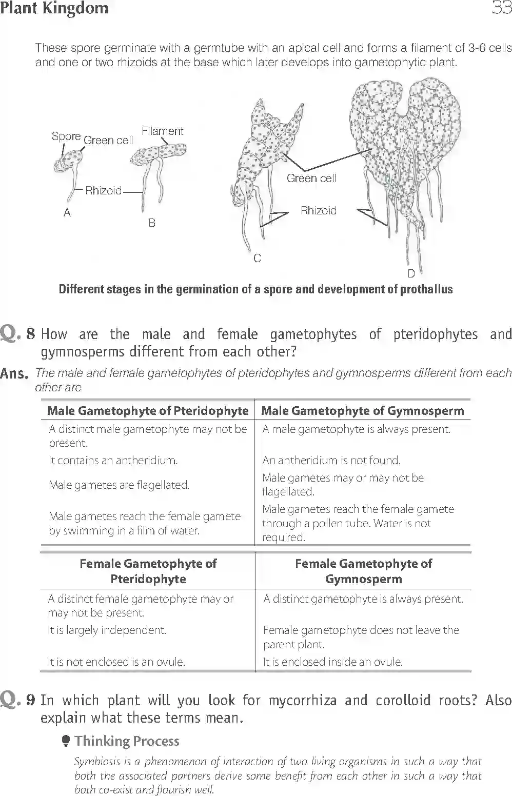 NCERT-Solution-Class-11-Biology-Exemplar-Plant-Kingdom-748-page-9
