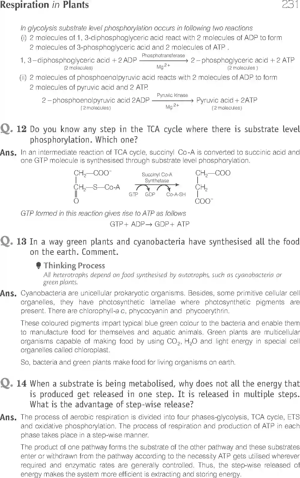 NCERT-Solution-Class-11-Biology-Exemplar-Respiration-In-Plants-2931-page-11