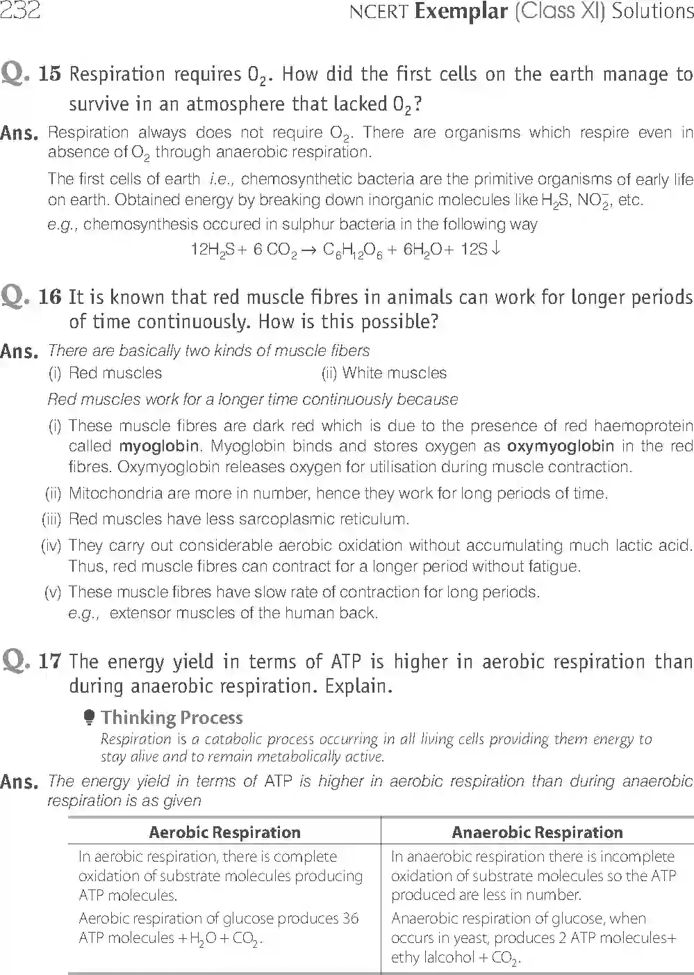 NCERT-Solution-Class-11-Biology-Exemplar-Respiration-In-Plants-2931-page-12
