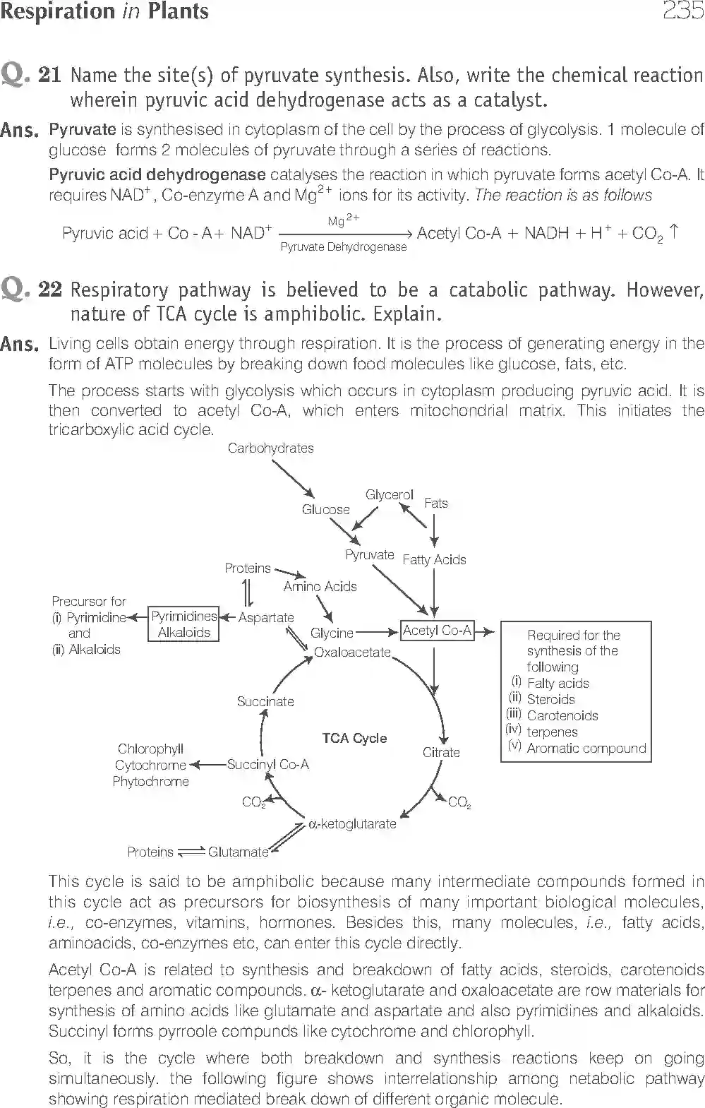 NCERT-Solution-Class-11-Biology-Exemplar-Respiration-In-Plants-2931-page-15