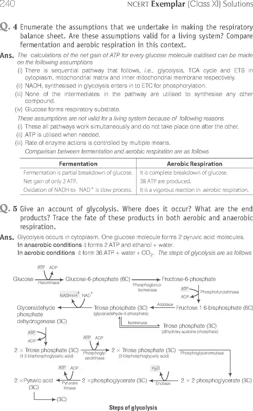 NCERT-Solution-Class-11-Biology-Exemplar-Respiration-In-Plants-2931-page-20