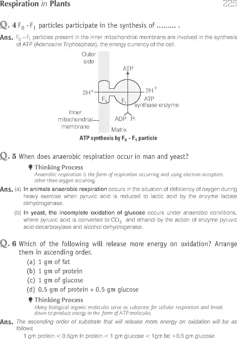 NCERT-Solution-Class-11-Biology-Exemplar-Respiration-In-Plants-2931-page-5