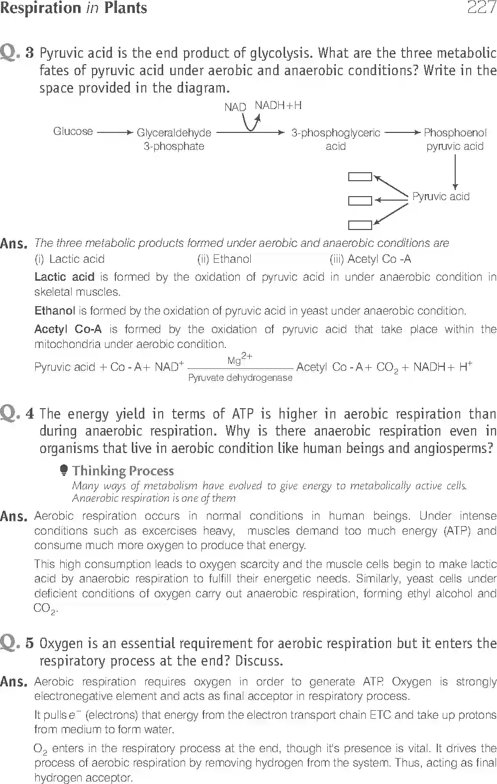 NCERT-Solution-Class-11-Biology-Exemplar-Respiration-In-Plants-2931-page-7