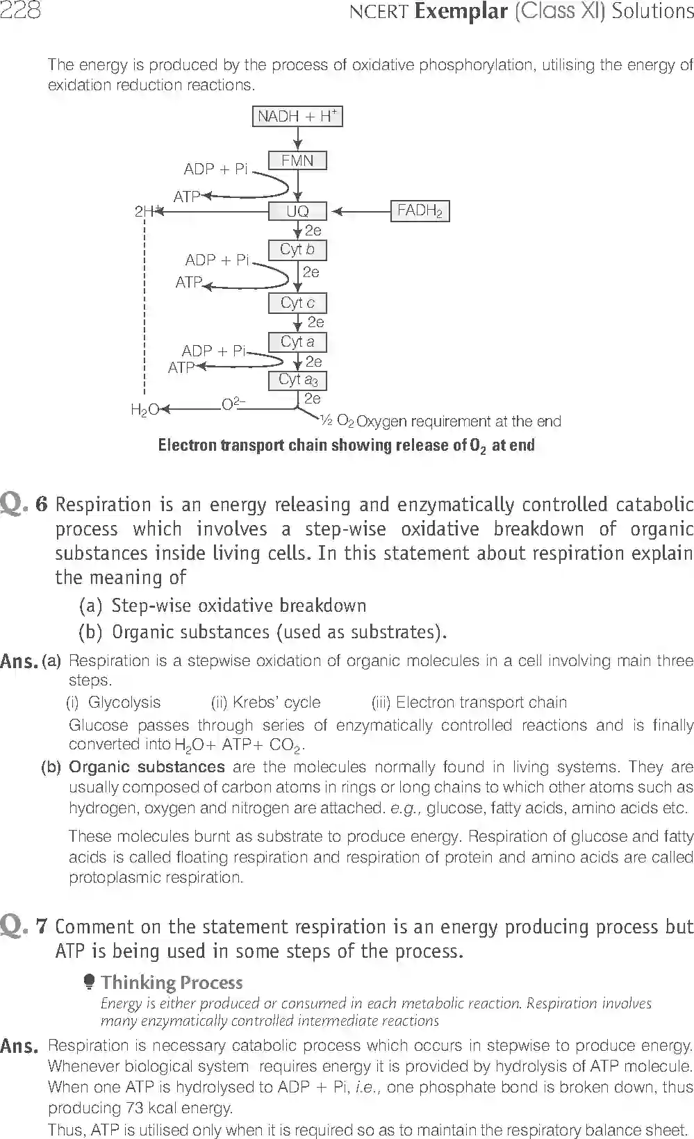NCERT-Solution-Class-11-Biology-Exemplar-Respiration-In-Plants-2931-page-8