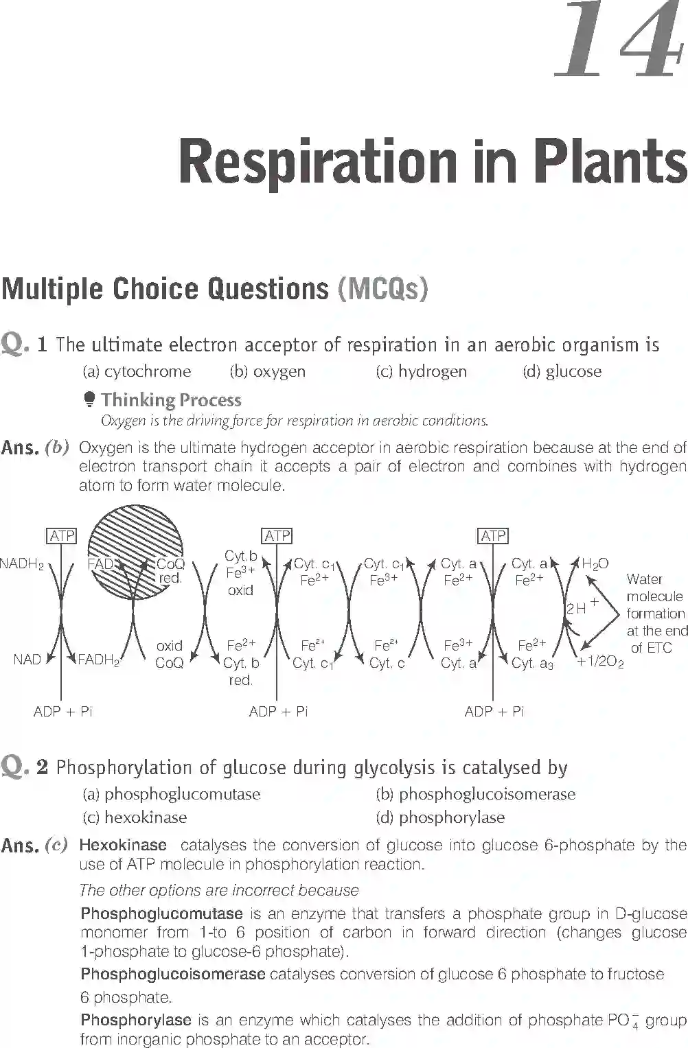 NCERT-Solution-Class-11-Biology-Exemplar-Respiration-In-Plants-759-page-1