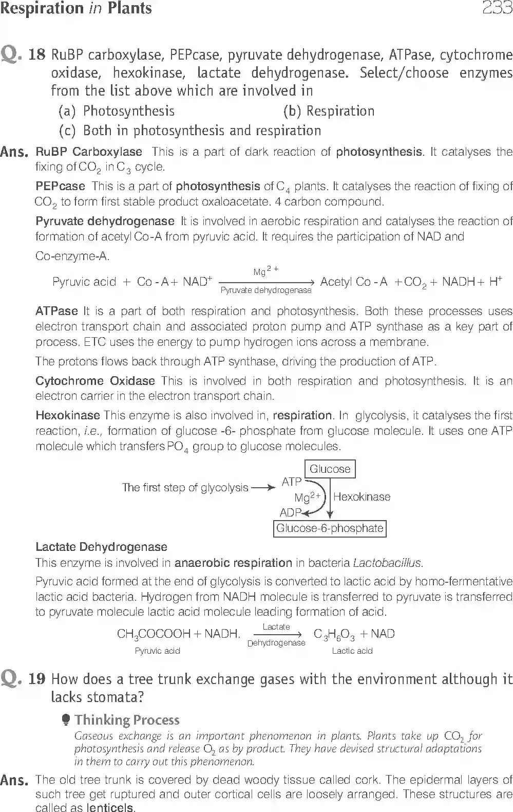 NCERT-Solution-Class-11-Biology-Exemplar-Respiration-In-Plants-759-page-13
