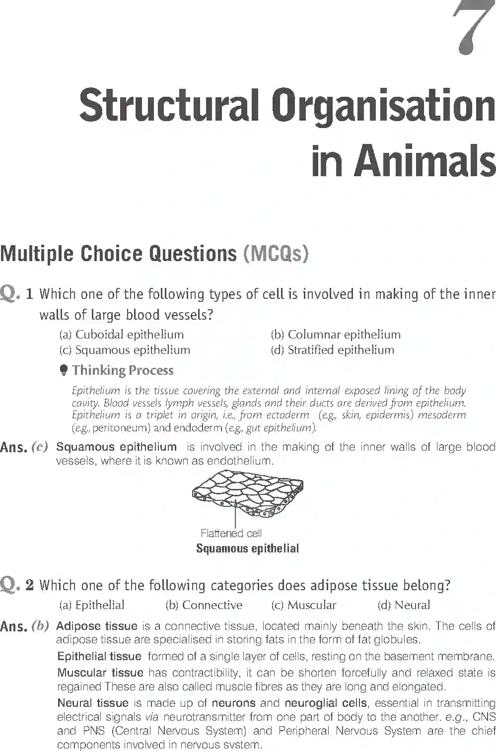 NCERT-Solution-Class-11-Biology-Exemplar-Structural-Organisation-in-Animals-2924-page-1