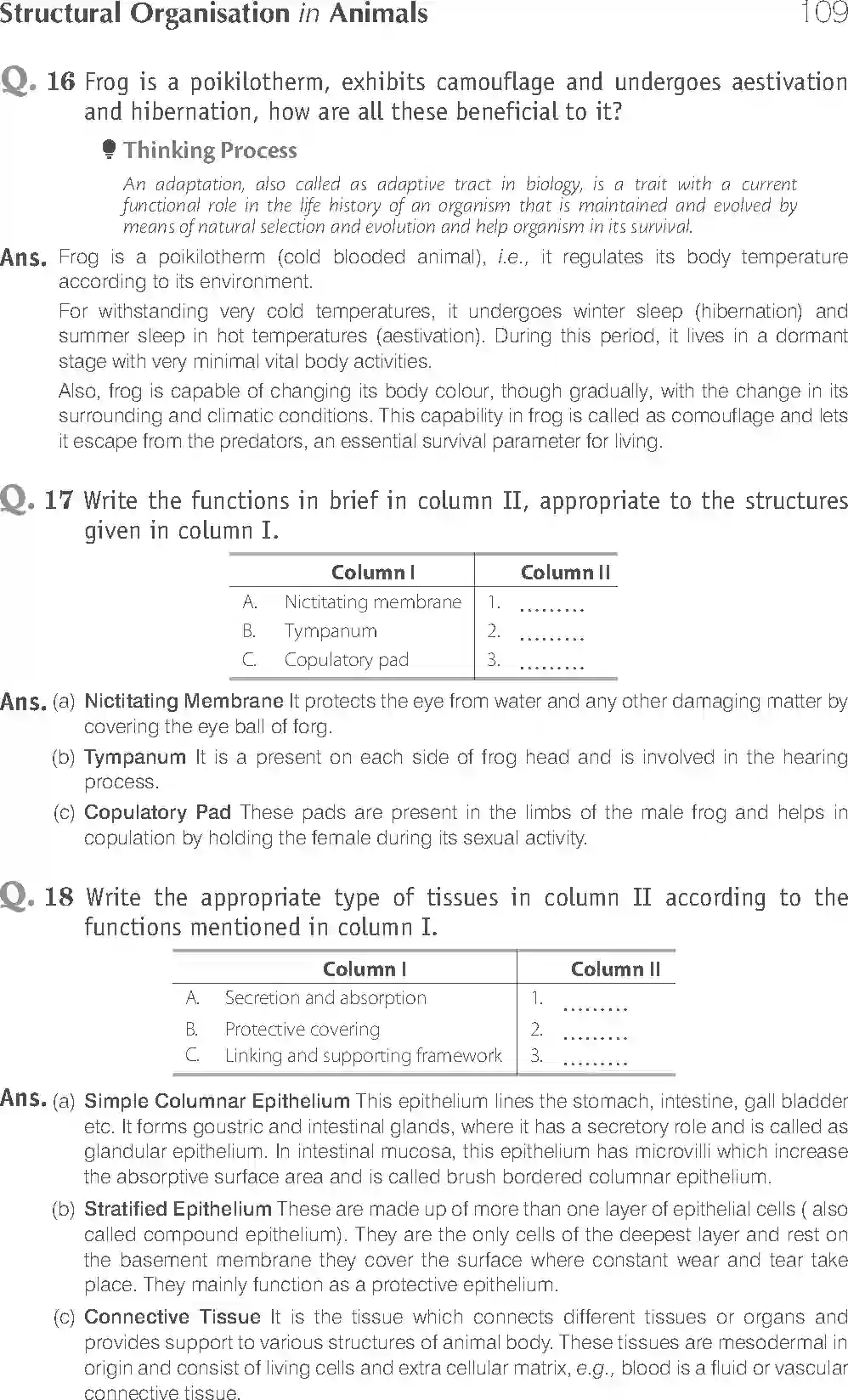 NCERT-Solution-Class-11-Biology-Exemplar-Structural-Organisation-in-Animals-2924-page-13