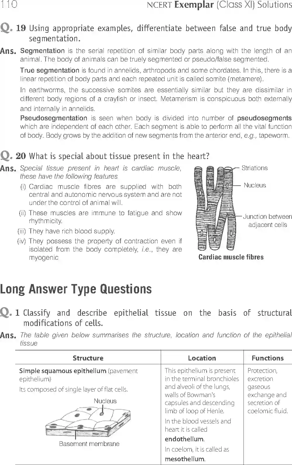 NCERT-Solution-Class-11-Biology-Exemplar-Structural-Organisation-in-Animals-2924-page-14