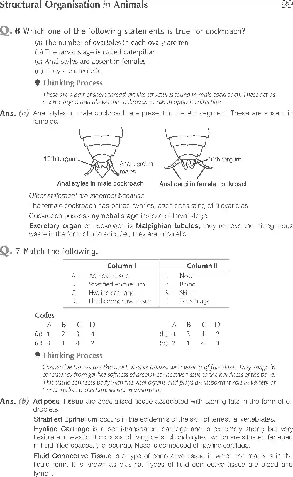 NCERT-Solution-Class-11-Biology-Exemplar-Structural-Organisation-in-Animals-2924-page-3