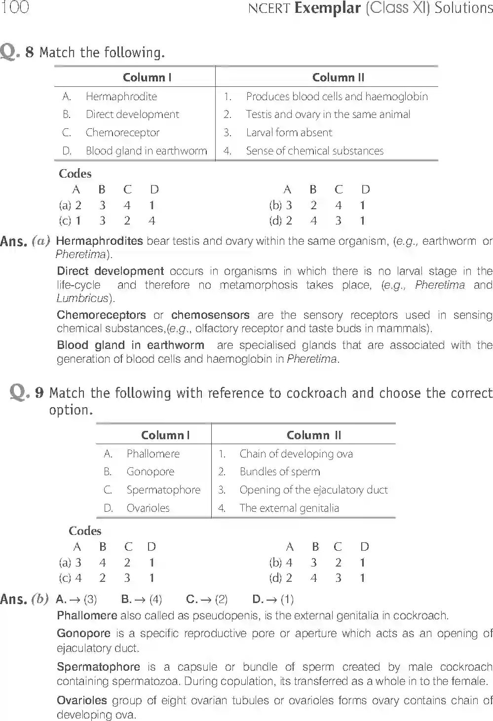 NCERT-Solution-Class-11-Biology-Exemplar-Structural-Organisation-in-Animals-2924-page-4