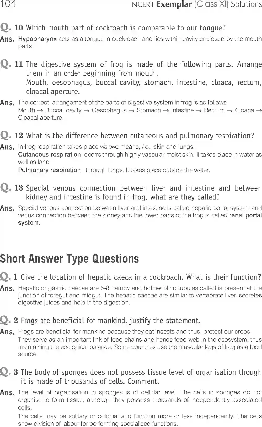 NCERT-Solution-Class-11-Biology-Exemplar-Structural-Organisation-in-Animals-2924-page-8