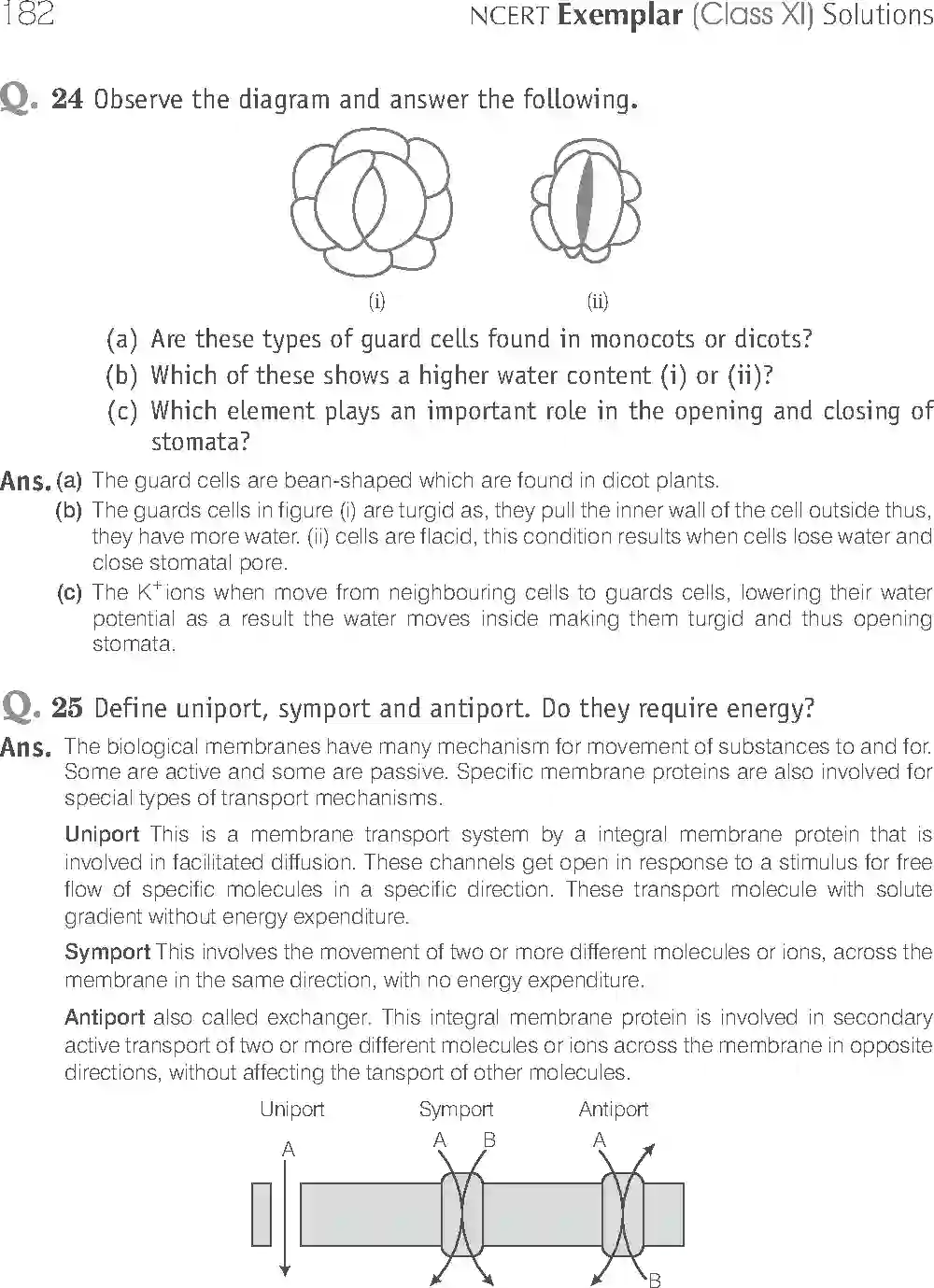 NCERT-Solution-Class-11-Biology-Exemplar-Transport-in-Plants-2928-page-18