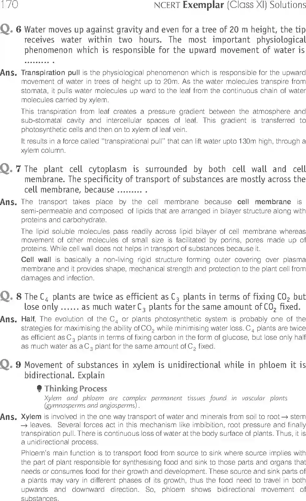 NCERT-Solution-Class-11-Biology-Exemplar-Transport-in-Plants-2928-page-6
