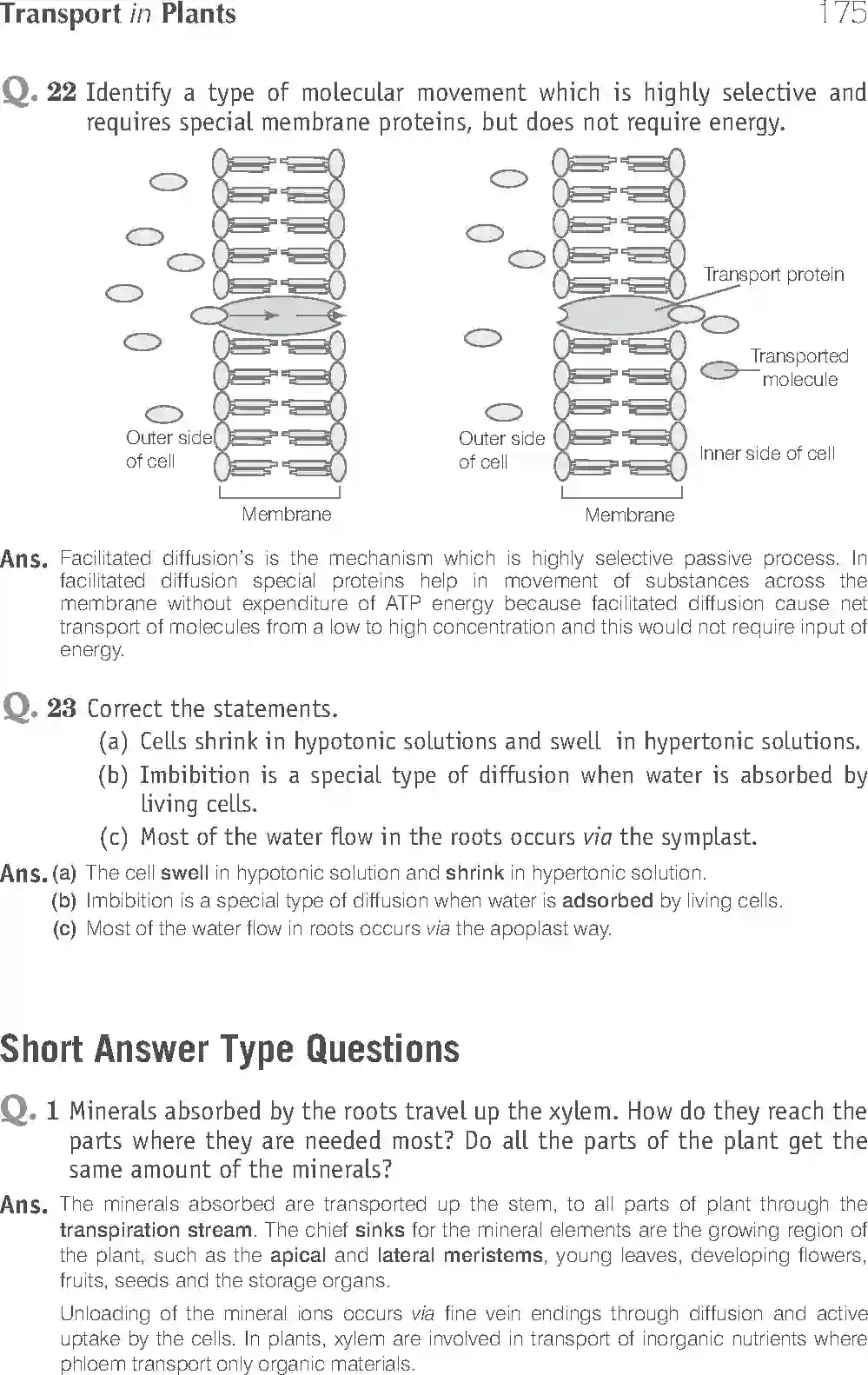 NCERT-Solution-Class-11-Biology-Exemplar-Transport-in-Plants-756-page-11