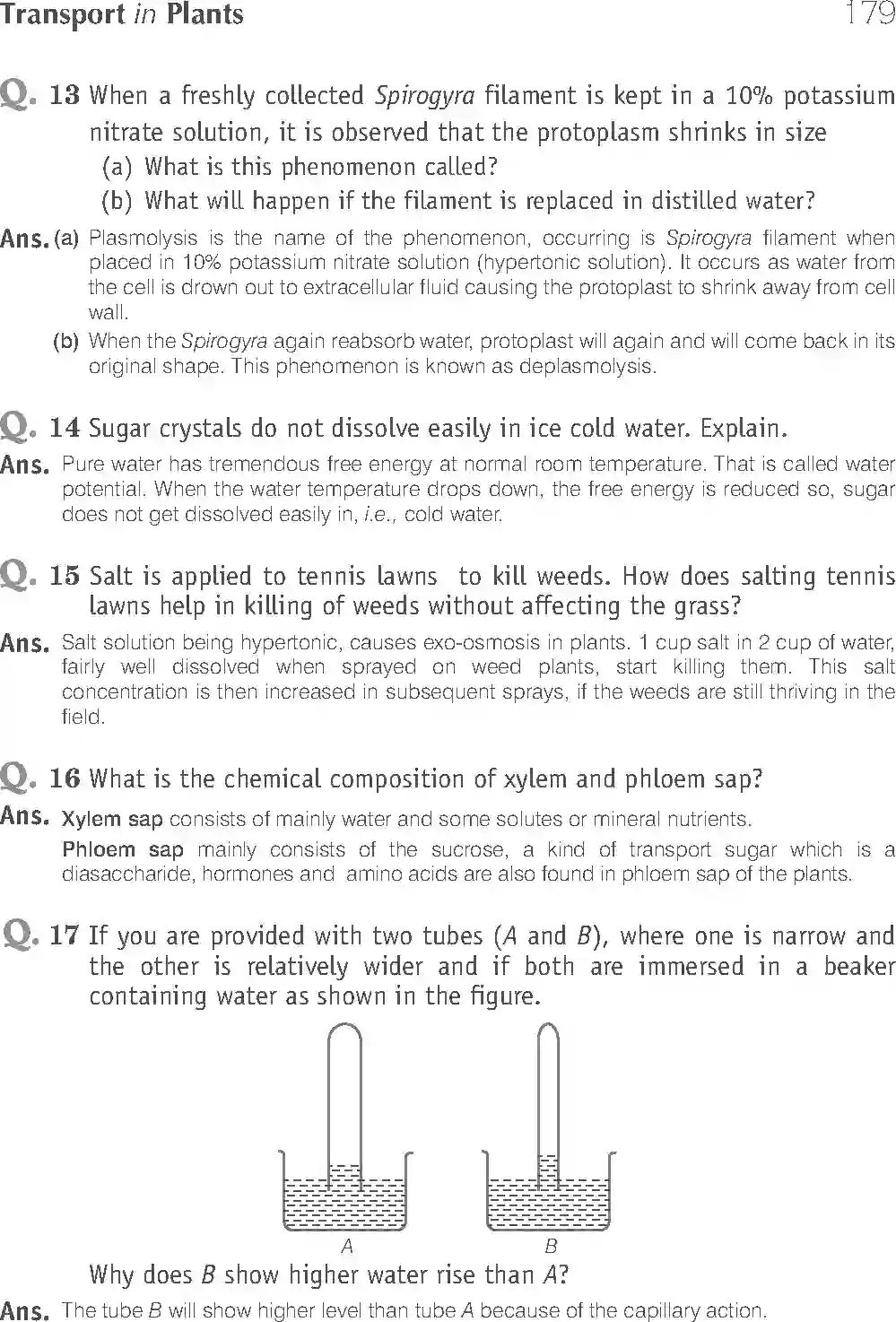 NCERT-Solution-Class-11-Biology-Exemplar-Transport-in-Plants-756-page-15