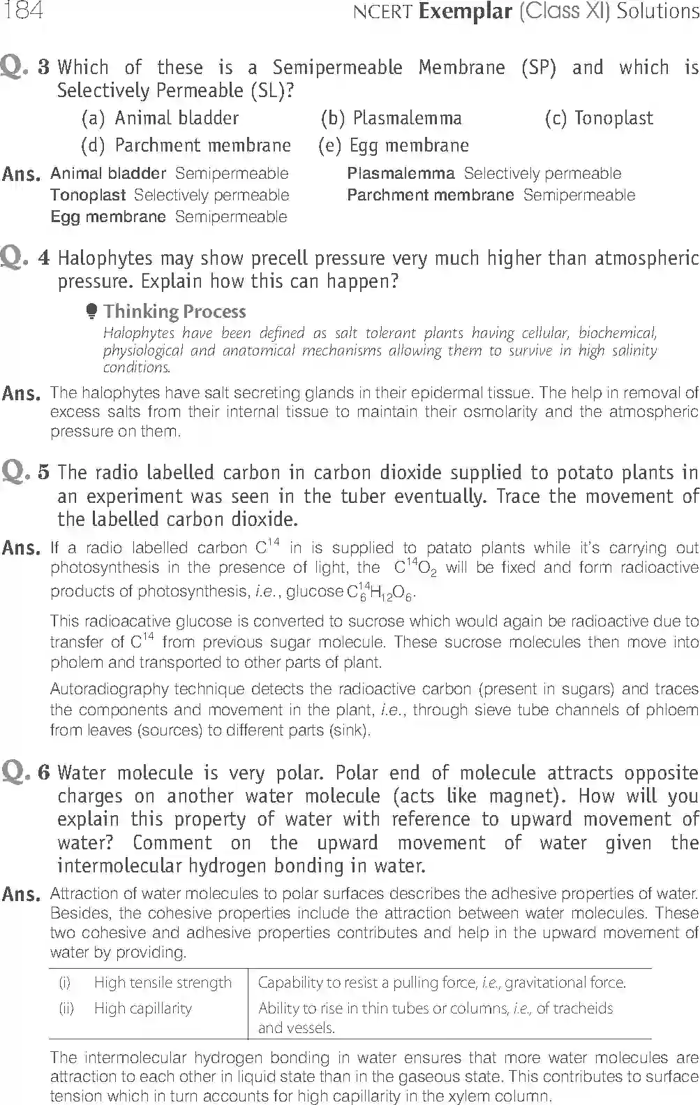 NCERT-Solution-Class-11-Biology-Exemplar-Transport-in-Plants-756-page-20