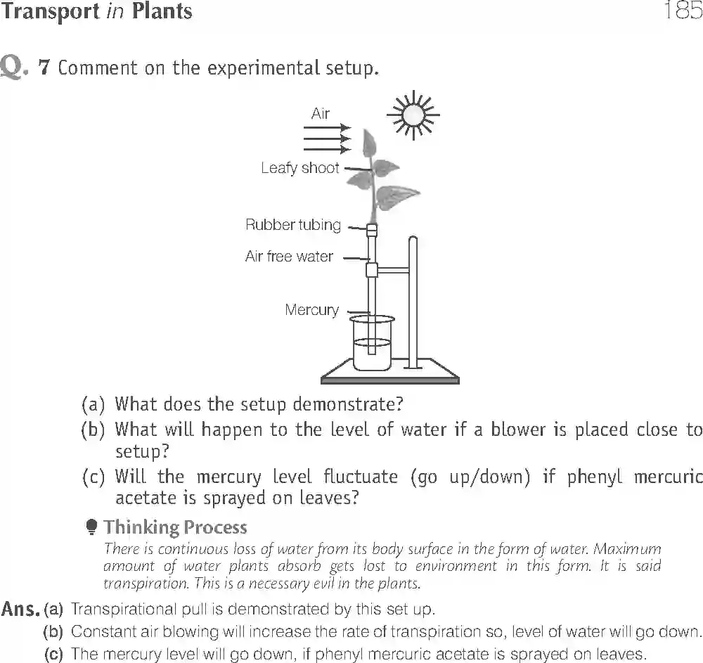 NCERT-Solution-Class-11-Biology-Exemplar-Transport-in-Plants-756-page-21