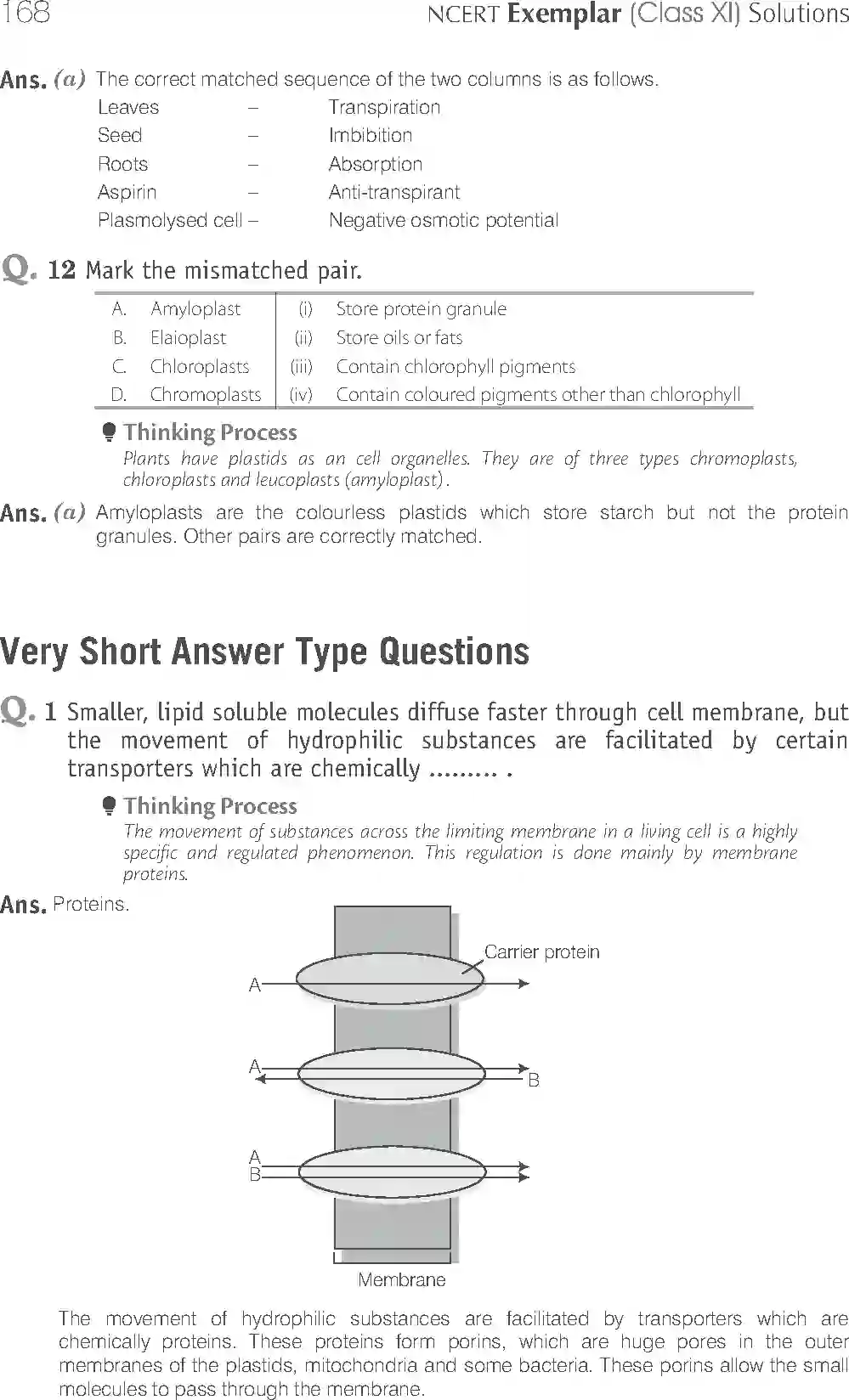 NCERT-Solution-Class-11-Biology-Exemplar-Transport-in-Plants-756-page-4