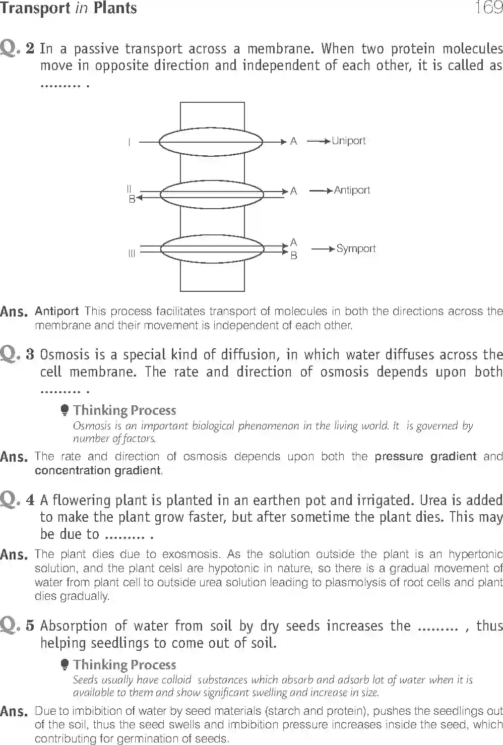 NCERT-Solution-Class-11-Biology-Exemplar-Transport-in-Plants-756-page-5