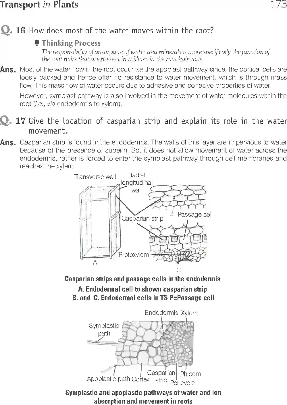 NCERT-Solution-Class-11-Biology-Exemplar-Transport-in-Plants-756-page-9