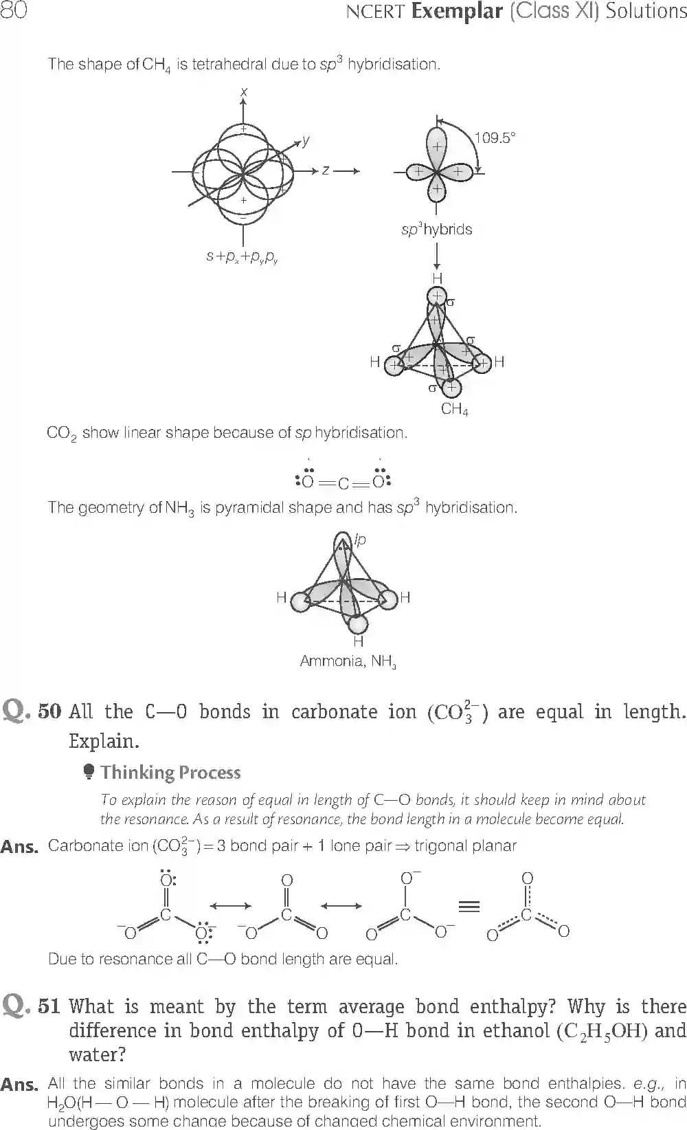 NCERT-Solution-Class-11-Chemistry-Exemplar-Chemical-Bonding-And-Molecular-Structure-2907-page-19