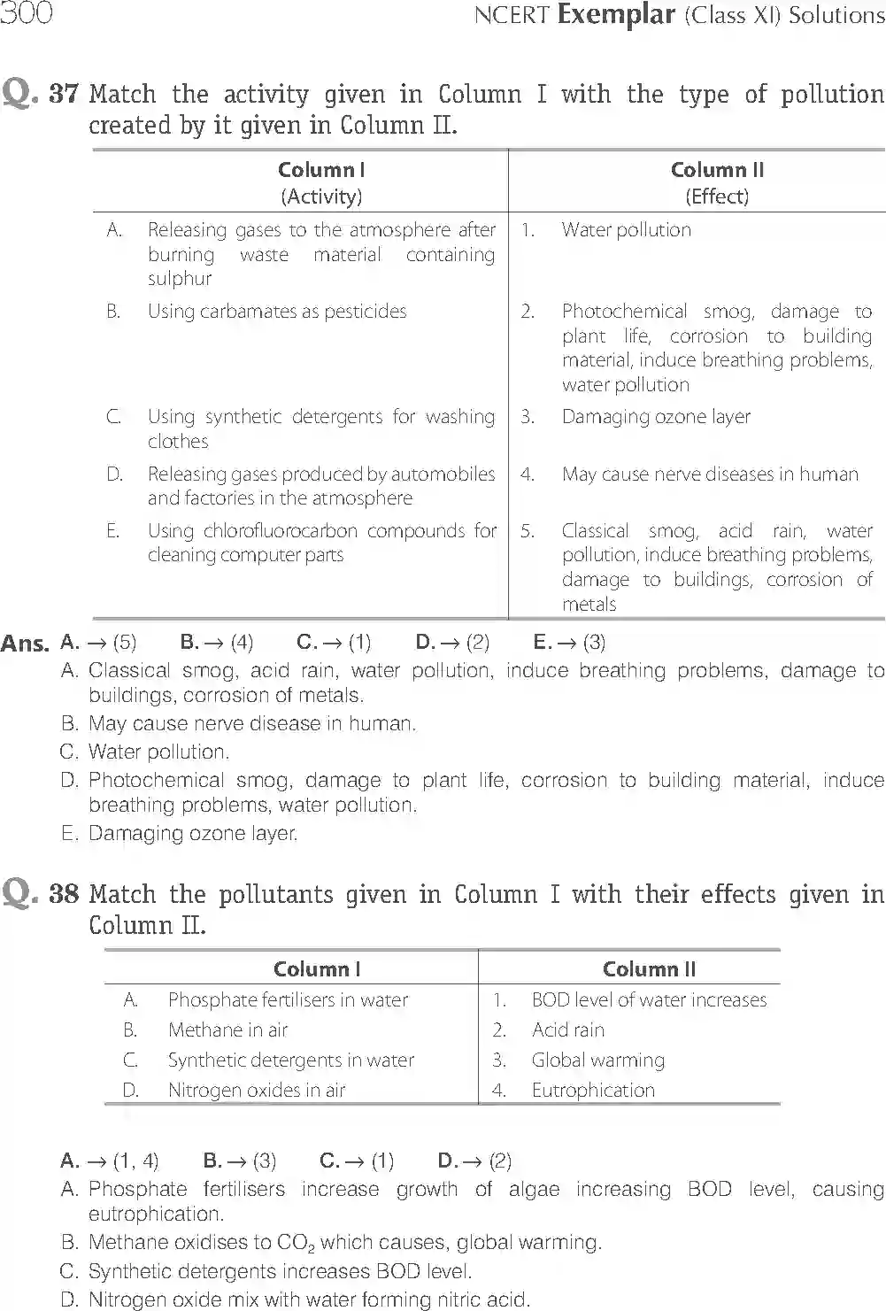 NCERT-Solution-Class-11-Chemistry-Exemplar-Environmental-Chemistry-2917-page-11