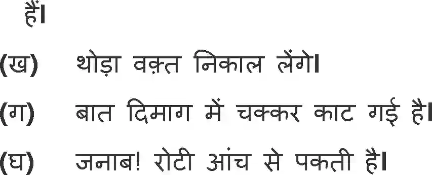 NCERT-Solution-Class-11-Hindi-Aroh-BhagI-Miyan-Nasiruddin-562-page-13