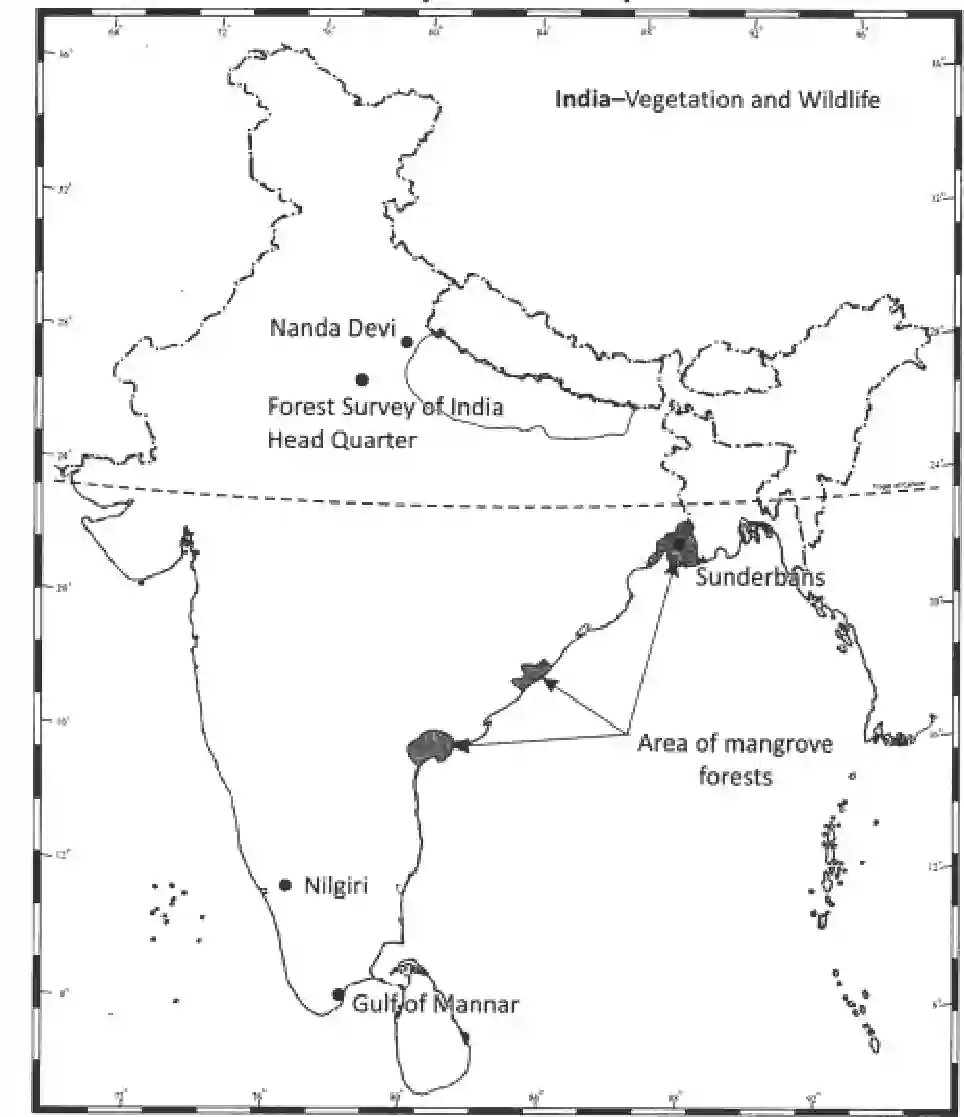 NCERT-Solution-Class-11-India-Physical-Environment-Natural-Vegetation-786-page-6
