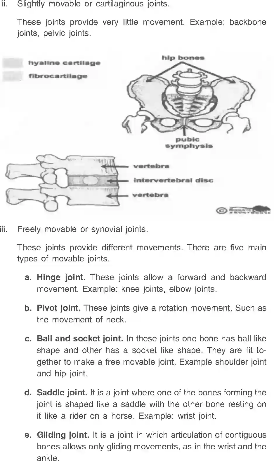 NCERT-Solution-Class-11-Physical-Education-Chapter-8-Fundamentals-of-Anatomy-and-Physiology-466-page-10