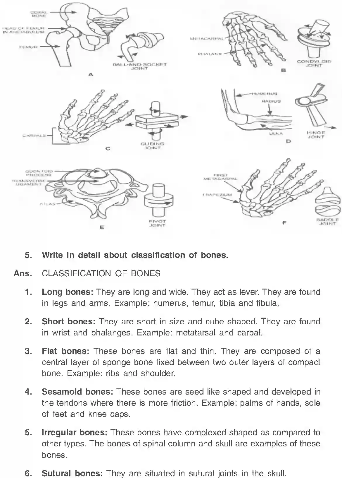 NCERT-Solution-Class-11-Physical-Education-Chapter-8-Fundamentals-of-Anatomy-and-Physiology-466-page-11