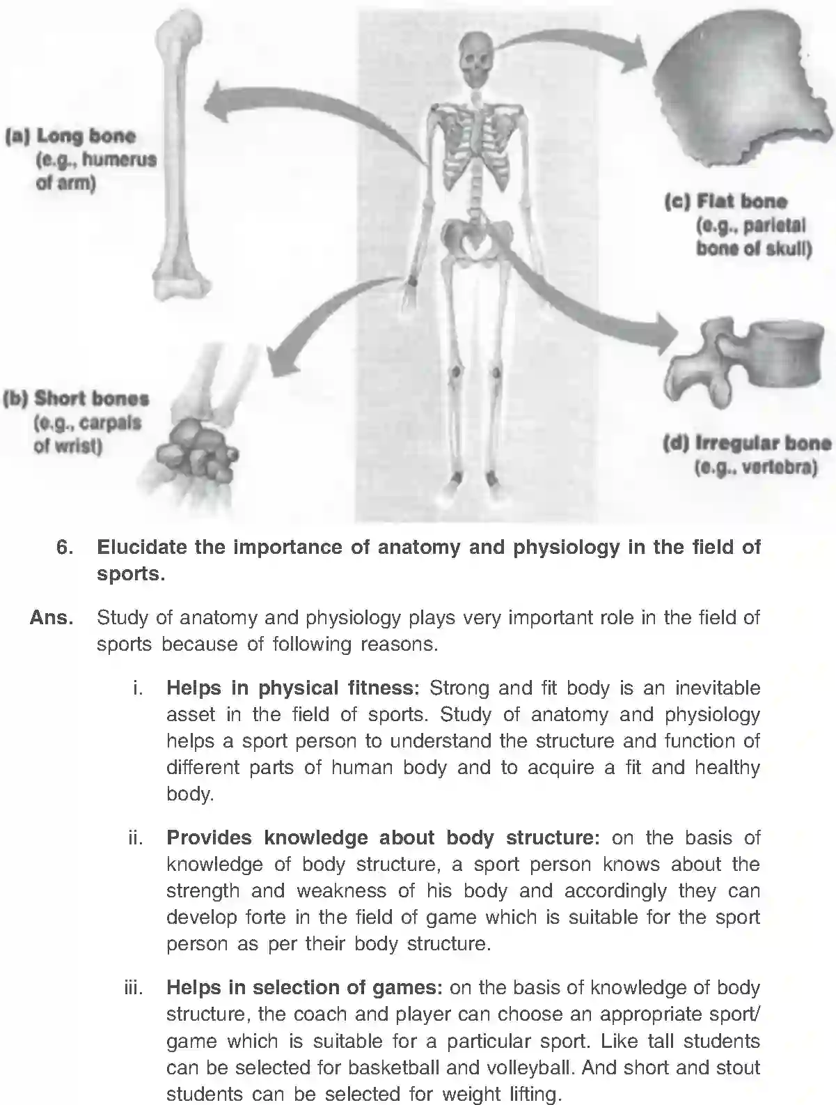 NCERT-Solution-Class-11-Physical-Education-Chapter-8-Fundamentals-of-Anatomy-and-Physiology-466-page-12
