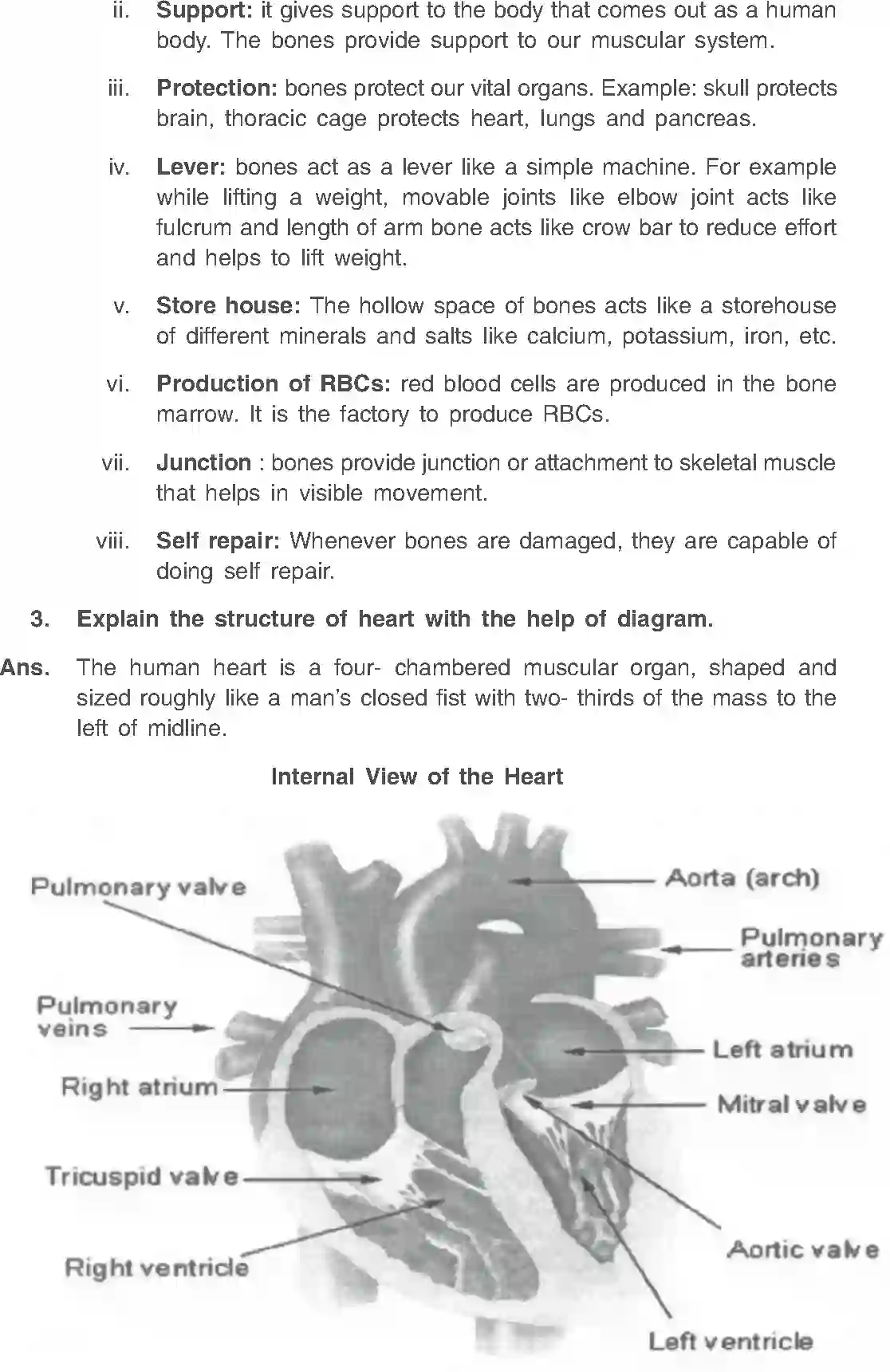 NCERT-Solution-Class-11-Physical-Education-Chapter-8-Fundamentals-of-Anatomy-and-Physiology-466-page-8