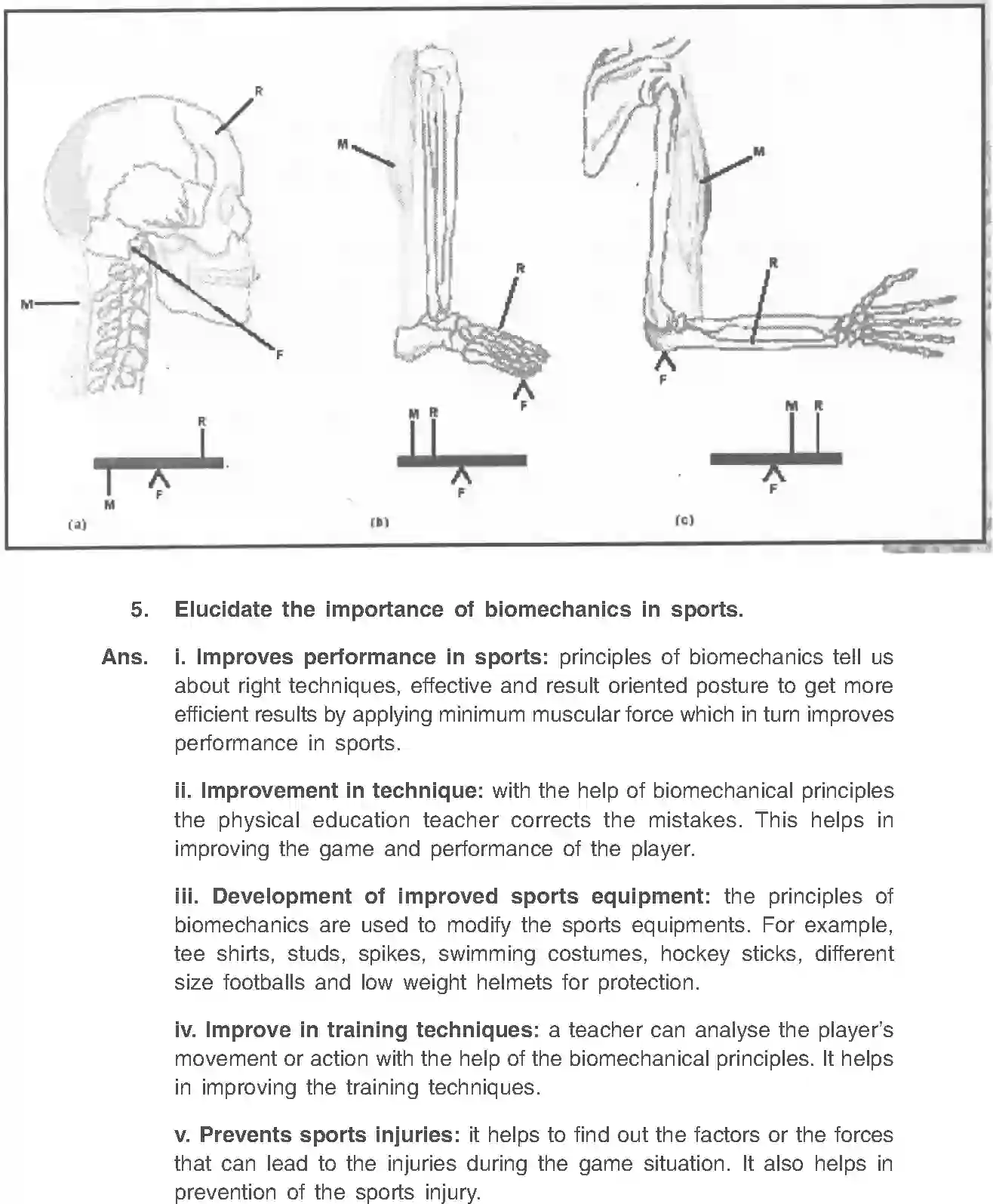 NCERT-Solution-Class-11-Physical-Education-Chapter-9-Biomechanics-and-Sports-467-page-10