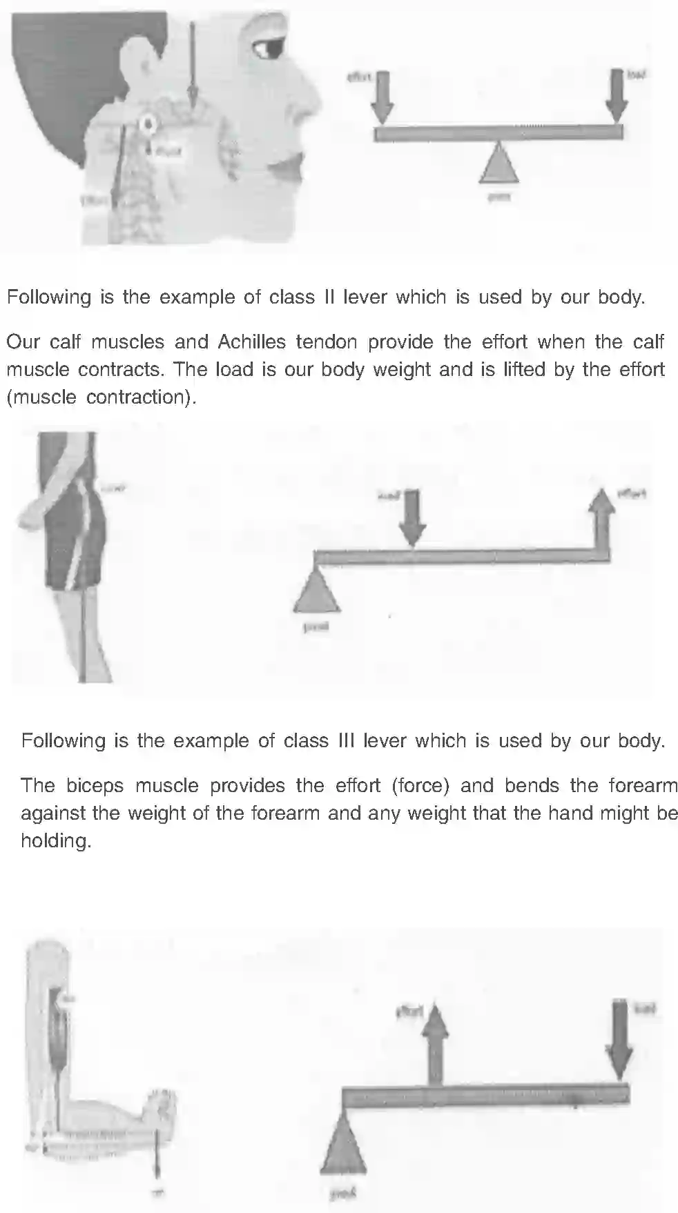 NCERT-Solution-Class-11-Physical-Education-Chapter-9-Biomechanics-and-Sports-467-page-5