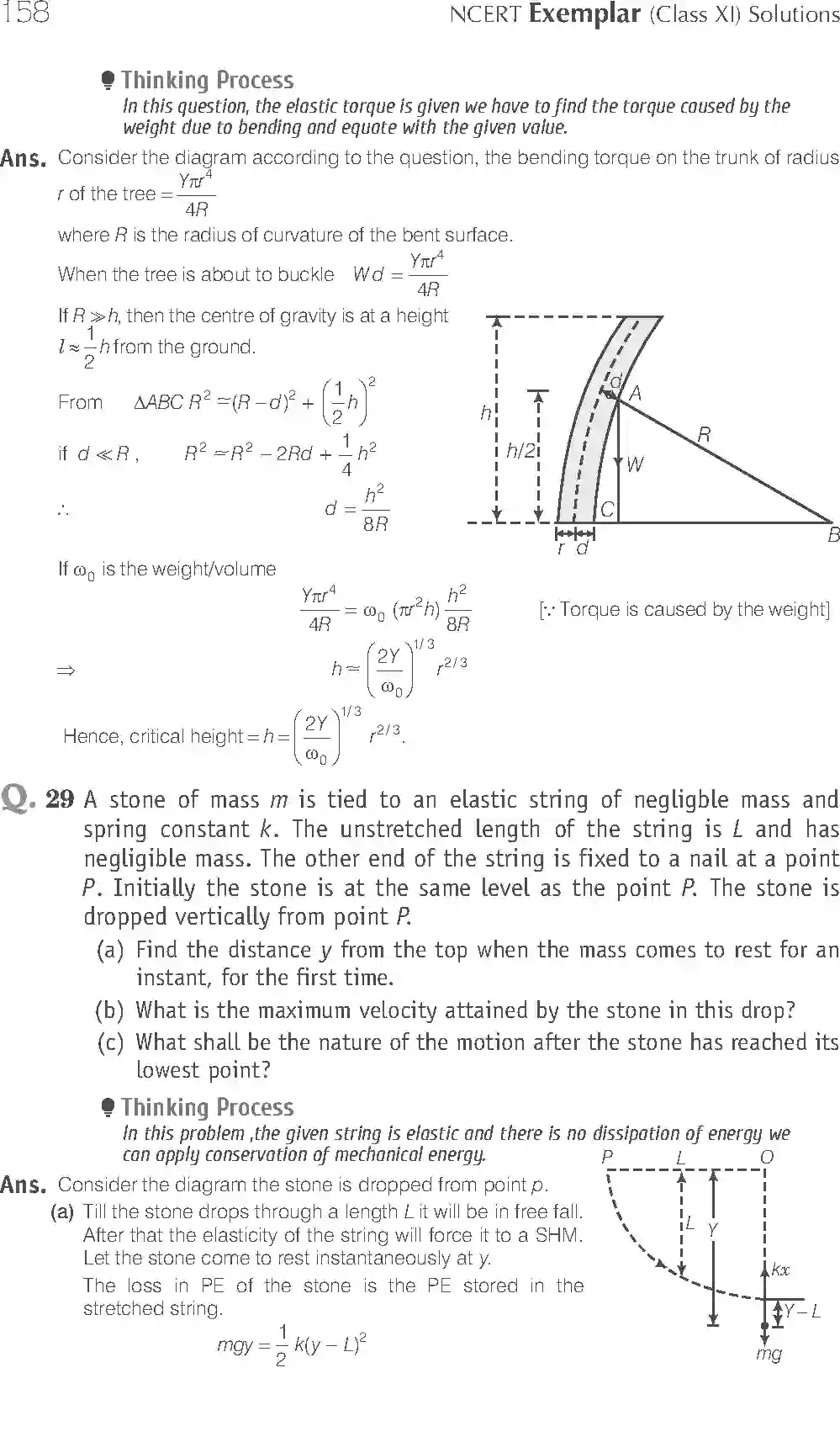 NCERT-Solution-Class-11-Physics-Exemplar-Mechanical-Properties-of-Solids-775-page-15