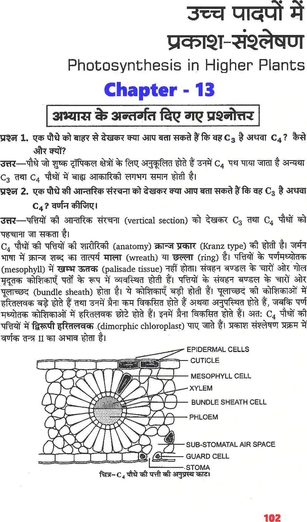 NCERT-Solution-Class-11-जीव-विज्ञान-उच्च-पादपों-में-प्रकाशसंश्लेषण-4660-page-1