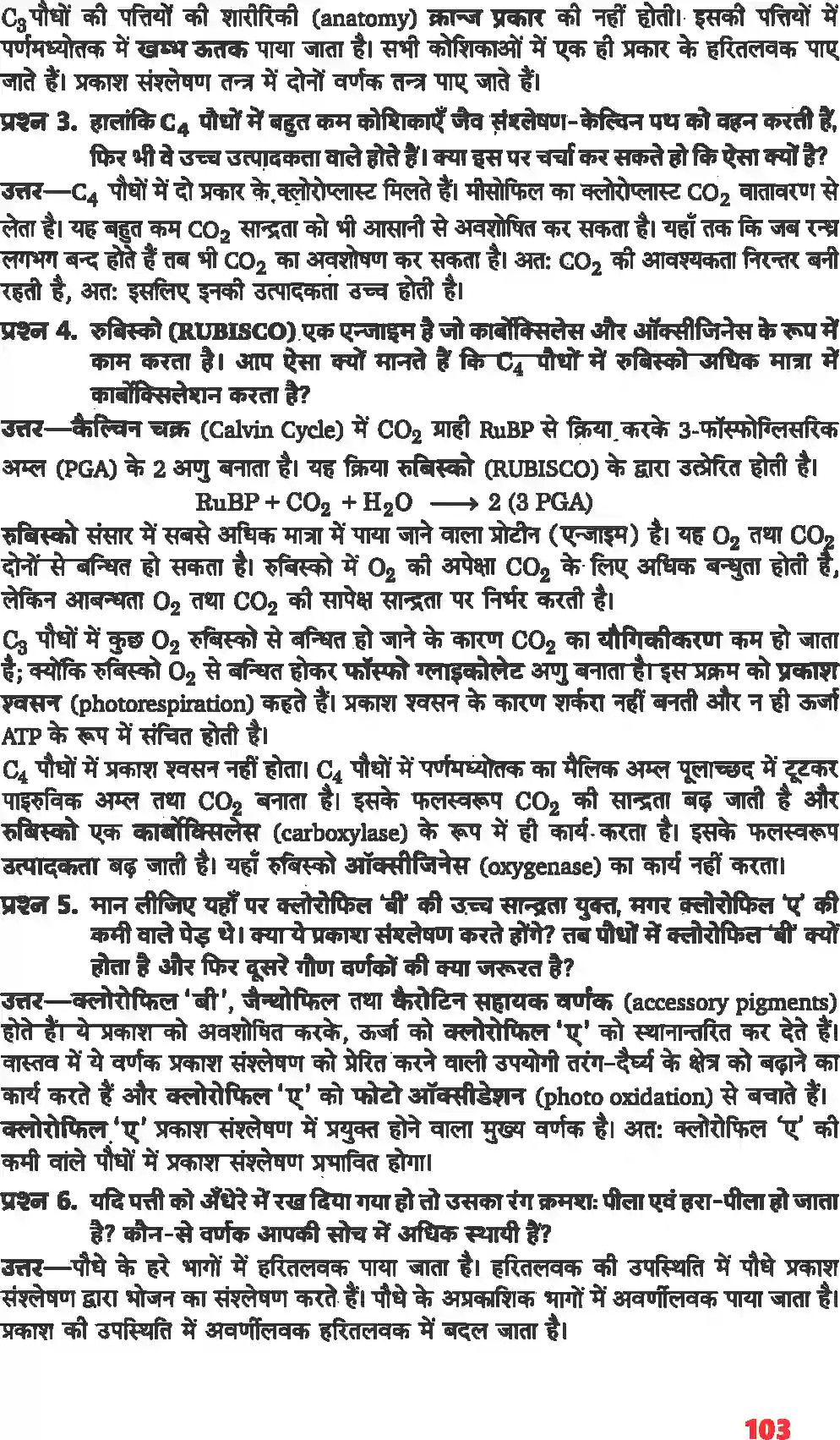 NCERT-Solution-Class-11-जीव-विज्ञान-उच्च-पादपों-में-प्रकाशसंश्लेषण-4660-page-2