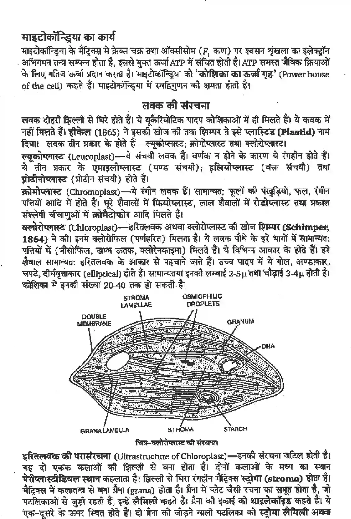 NCERT-Solution-Class-11-जीव-विज्ञान-कोशिका-जीवन-की-इकाई-4655-page-3