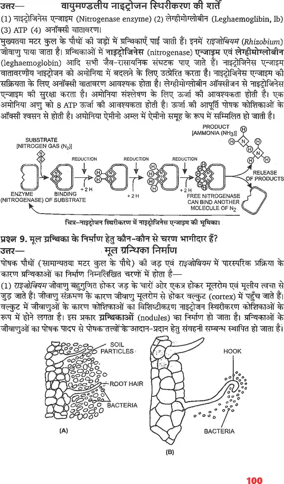 NCERT-Solution-Class-11-जीव-विज्ञान-खनिज-पोषण-4659-page-3