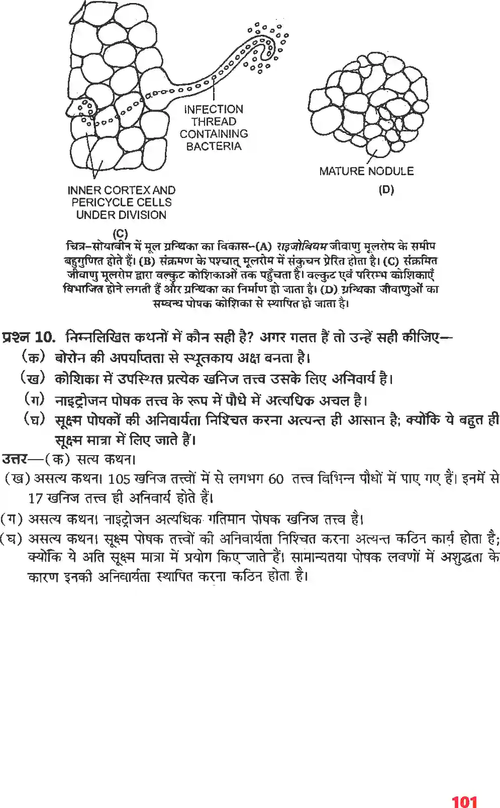 NCERT-Solution-Class-11-जीव-विज्ञान-खनिज-पोषण-4659-page-4
