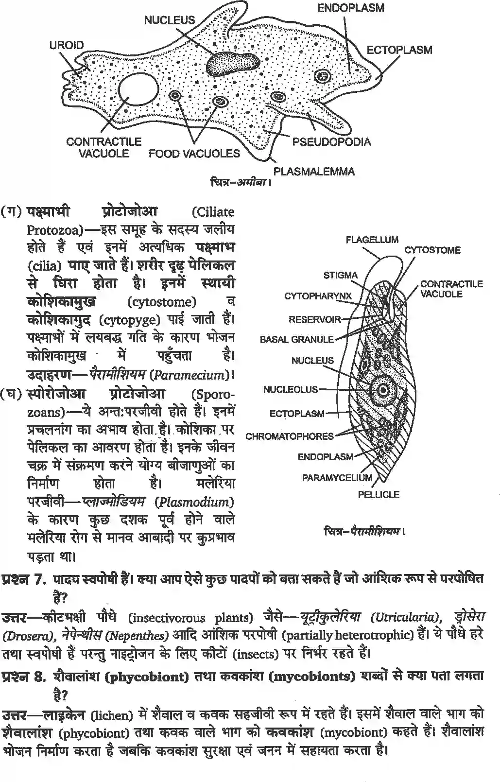 NCERT-Solution-Class-11-जीव-विज्ञान-जीव-जगत-का-वर्गीकरण-4649-page-3