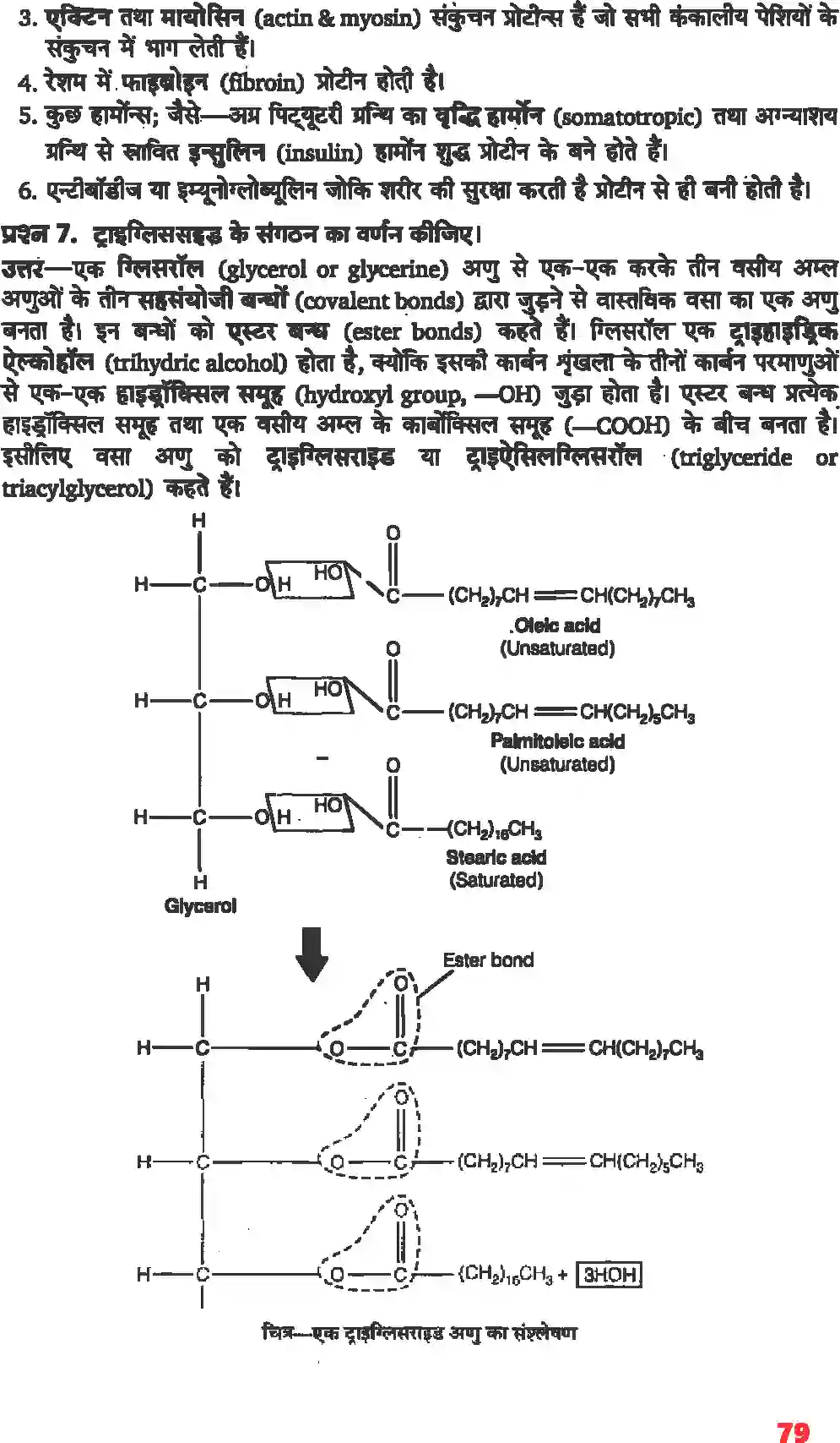 NCERT-Solution-Class-11-जीव-विज्ञान-जैव-अणु-4656-page-4
