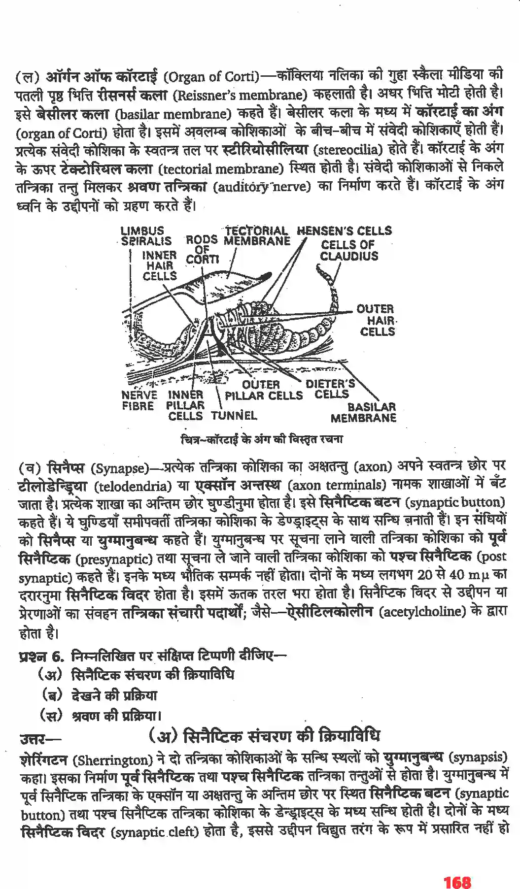 NCERT-Solution-Class-11-जीव-विज्ञान-तंत्रिकीय-नियंत्रण-एवं-समन्वय-4668-page-12