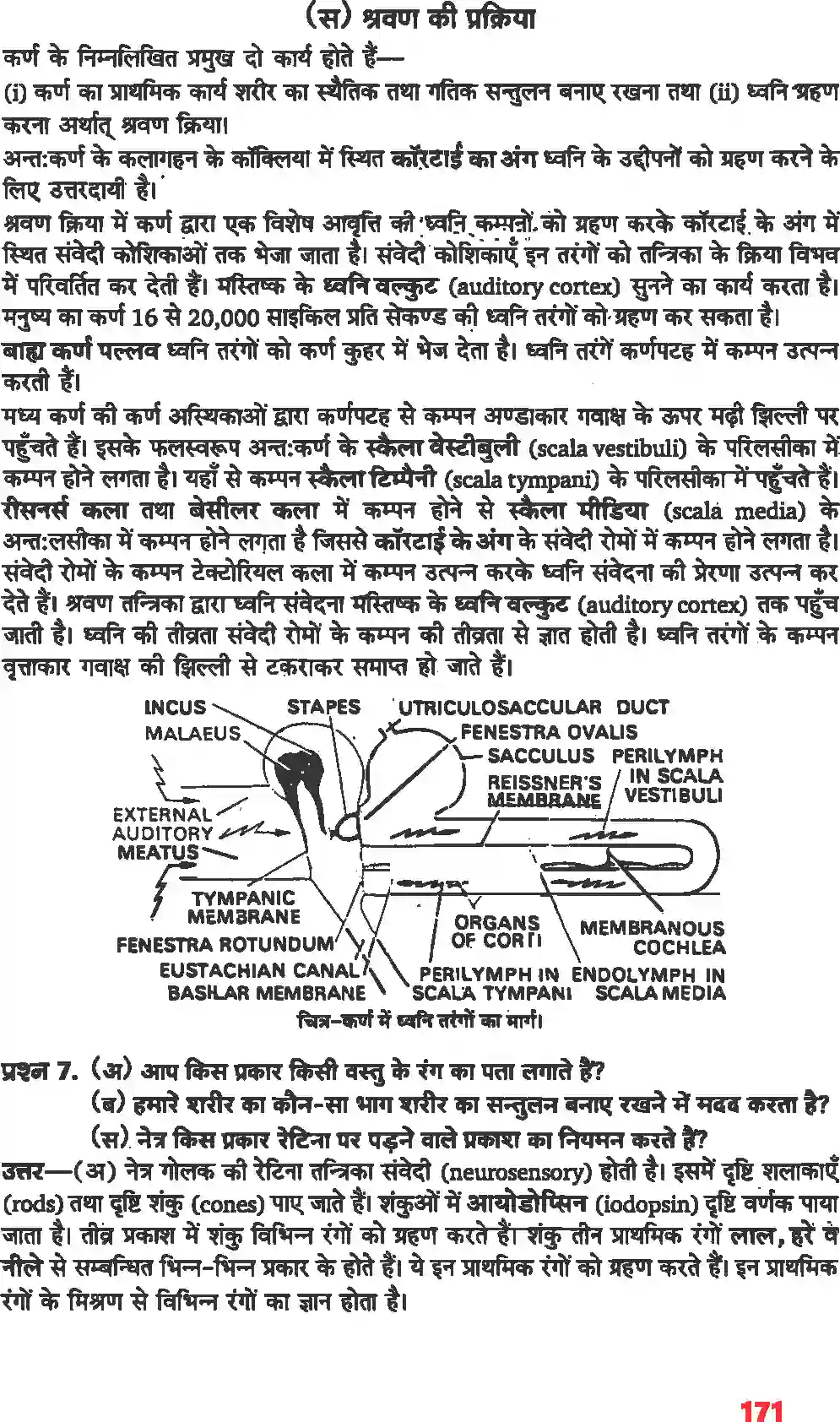 NCERT-Solution-Class-11-जीव-विज्ञान-तंत्रिकीय-नियंत्रण-एवं-समन्वय-4668-page-15