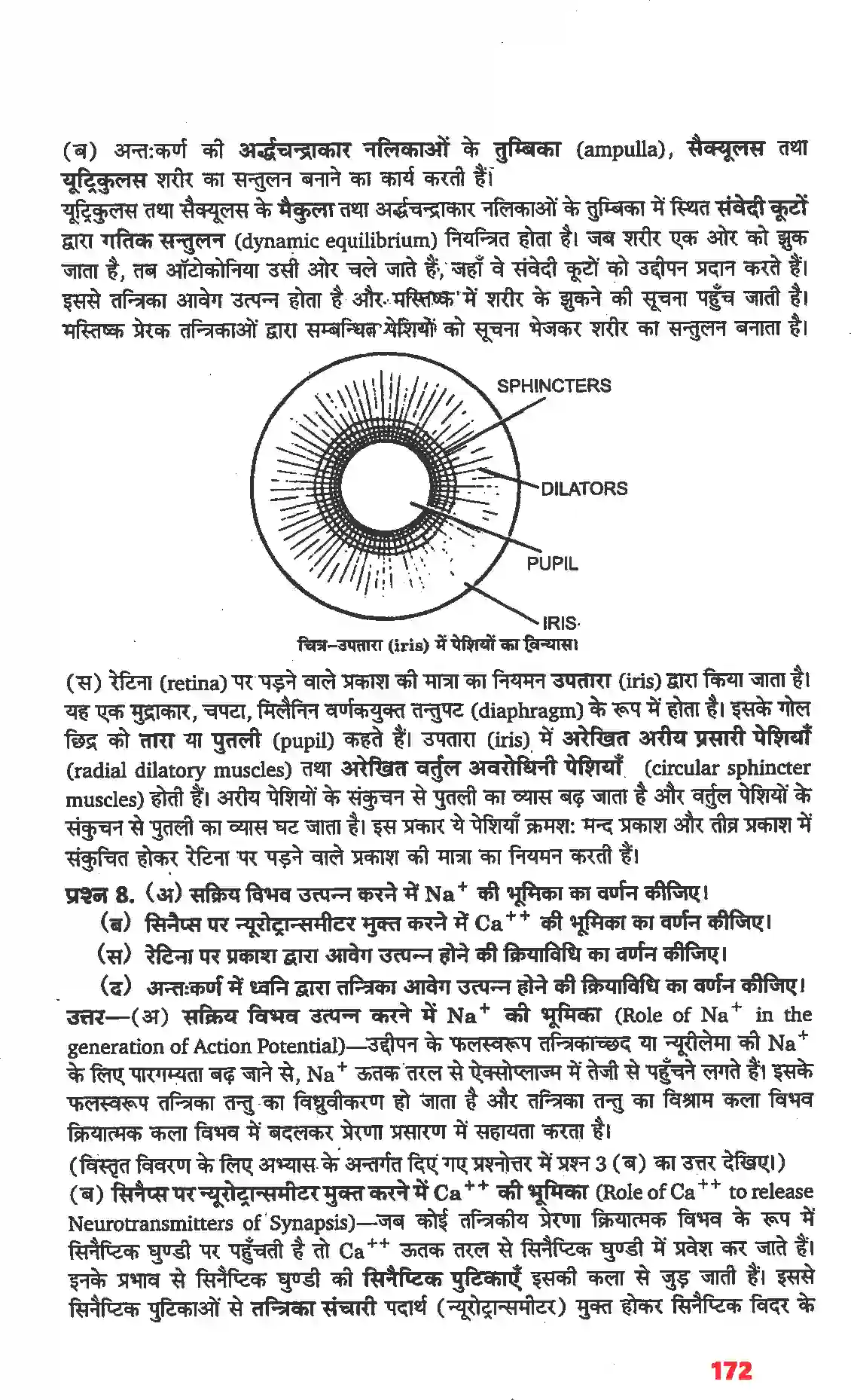 NCERT-Solution-Class-11-जीव-विज्ञान-तंत्रिकीय-नियंत्रण-एवं-समन्वय-4668-page-16