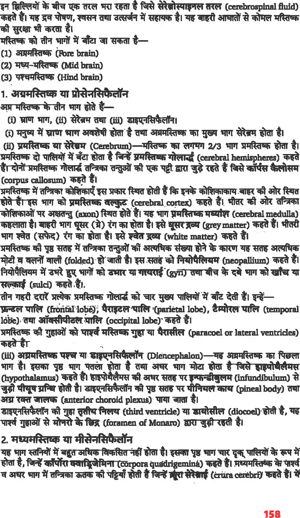 NCERT-Solution-Class-11-जीव-विज्ञान-तंत्रिकीय-नियंत्रण-एवं-समन्वय-4668-page-2