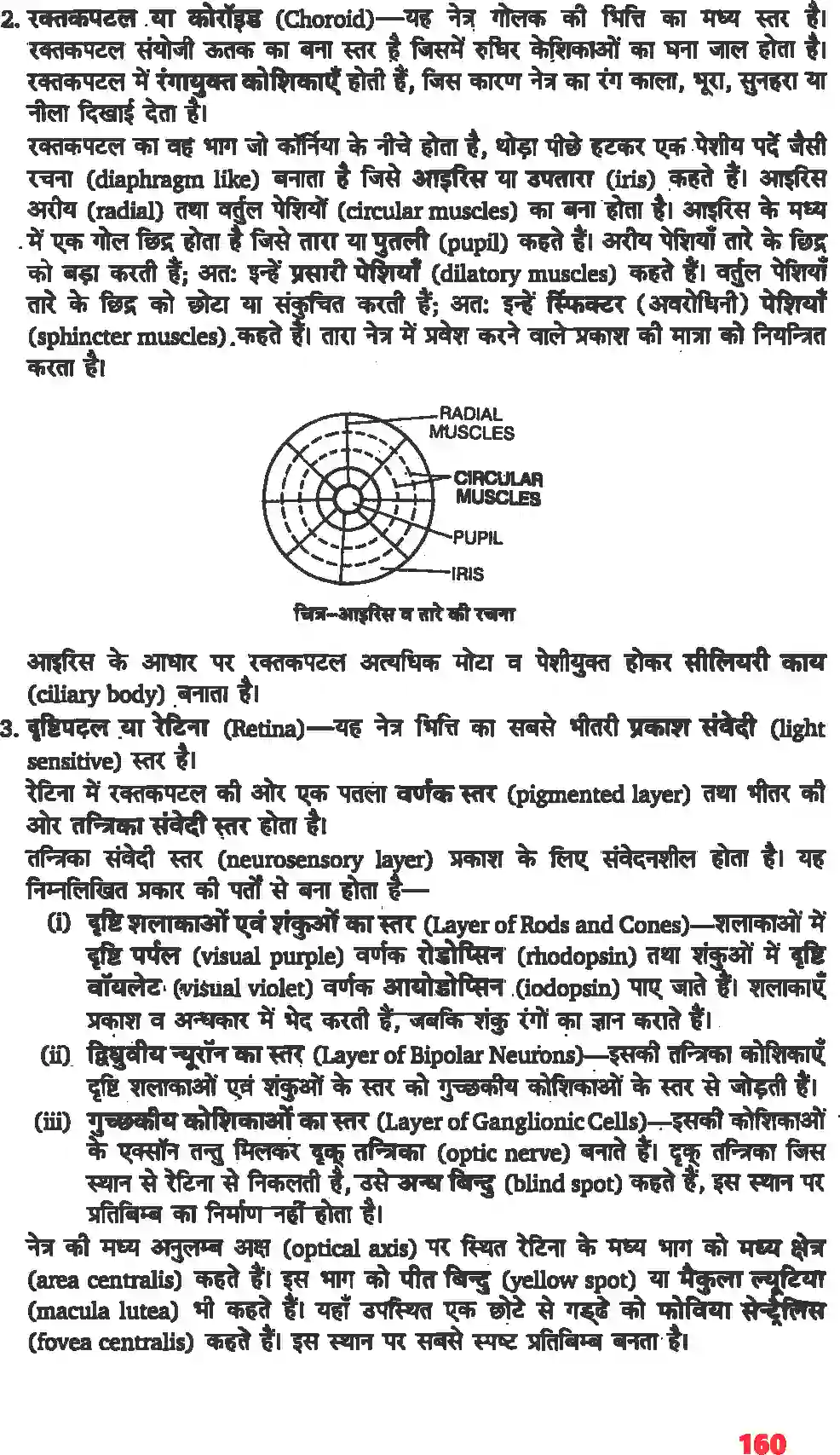 NCERT-Solution-Class-11-जीव-विज्ञान-तंत्रिकीय-नियंत्रण-एवं-समन्वय-4668-page-4