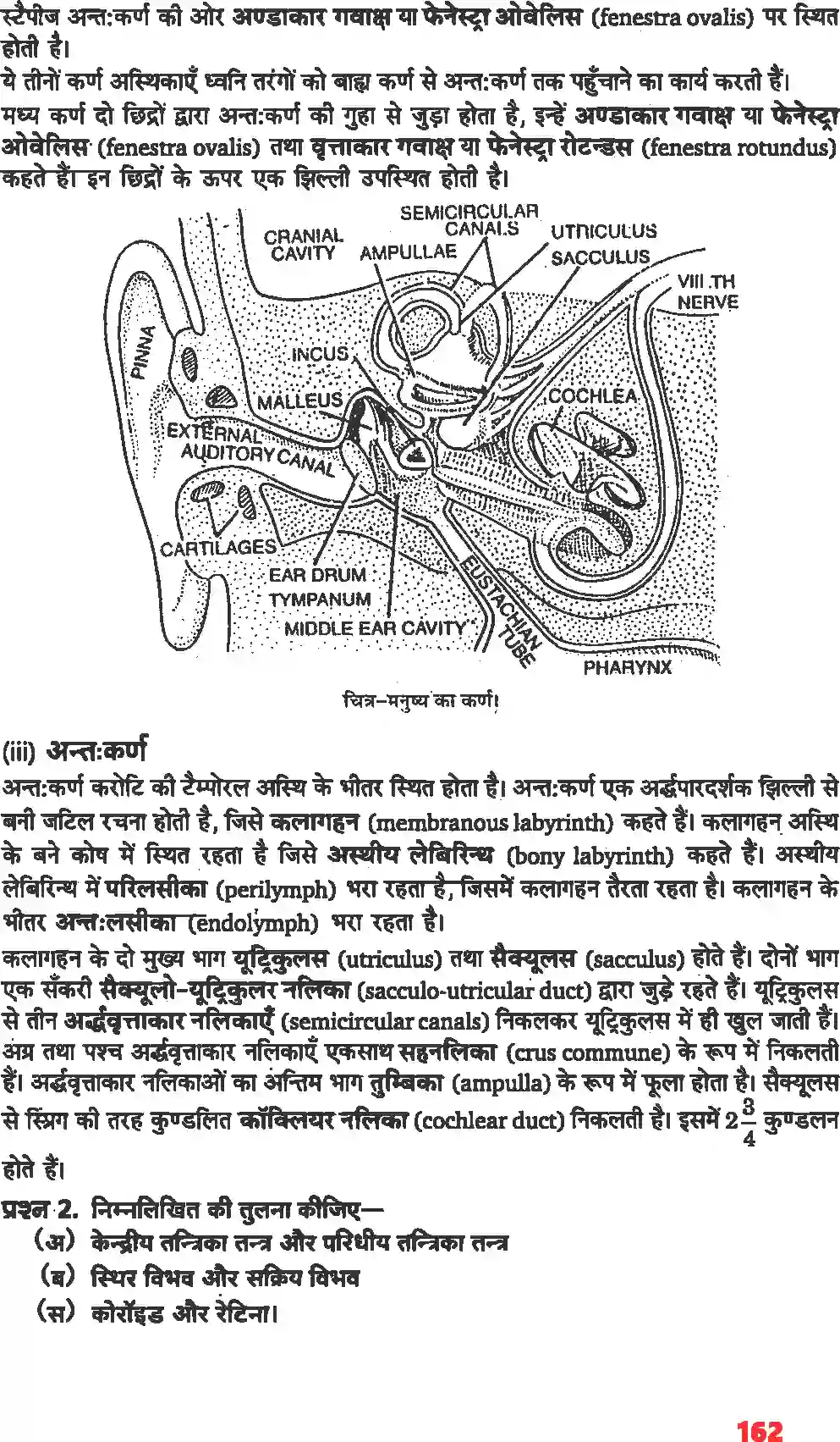 NCERT-Solution-Class-11-जीव-विज्ञान-तंत्रिकीय-नियंत्रण-एवं-समन्वय-4668-page-6